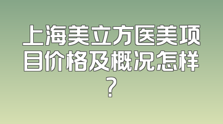 上海美立方医美项目价格及概况怎样？