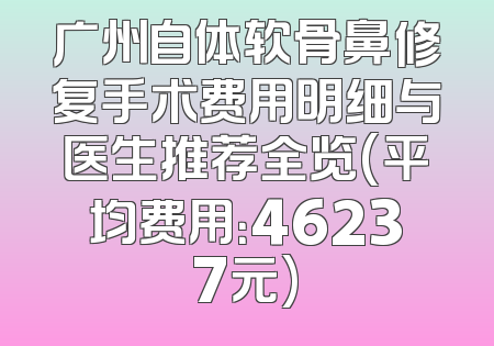 广州自体软骨鼻修复手术费用明细与医生推荐全览(平均费用：46237元)