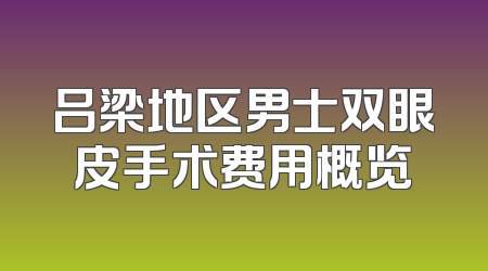吕梁地区男士双眼皮手术费用概览