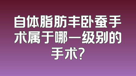 自体脂肪丰卧蚕手术属于哪一级别的手术？