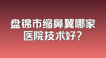 盘锦市缩鼻翼哪家医院技术好？