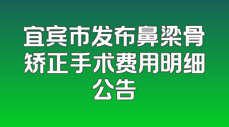 宜宾市发布鼻梁骨矫正手术费用明细公告