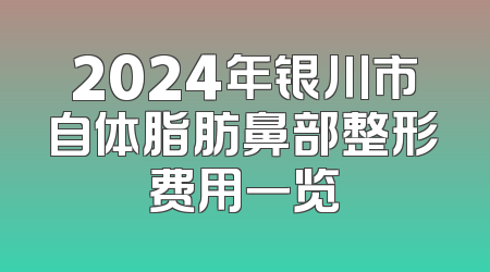 2024年银川市自体脂肪鼻部整形费用一览