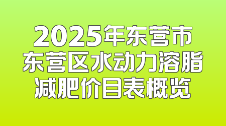 2025年东营市东营区水动力溶脂减肥价目表概览