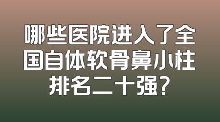 哪些医院进入了全国自体软骨鼻小柱排名二十强？