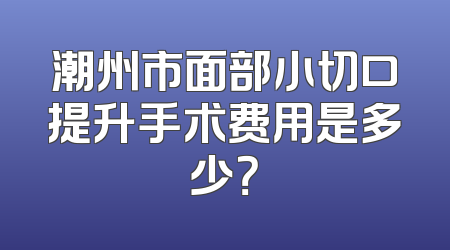 潮州市面部小切口提升手术费用是多少？