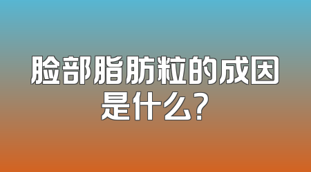 脸部脂肪粒的成因是什么？