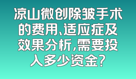 凉山微创除皱手术的费用、适应症及效果分析，需要投入多少资金？