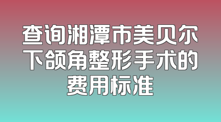 查询湘潭市美贝尔下颌角整形手术的费用标准