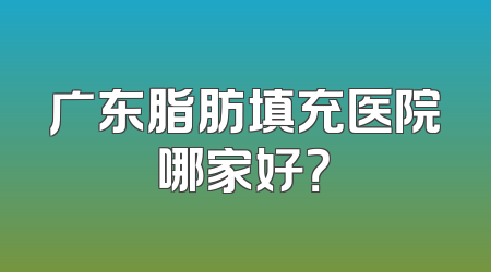 广东脂肪填充医院哪家好？