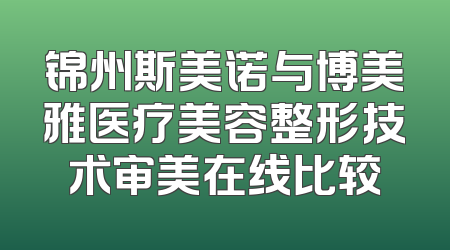 锦州斯美诺与博美雅医疗美容整形技术审美在线比较