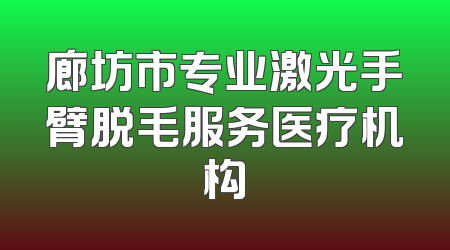 廊坊市专业激光手臂脱毛服务医疗机构