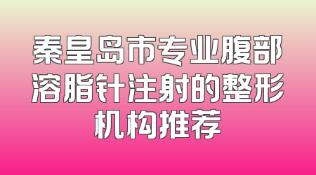 秦皇岛市专业腹部溶脂针注射的整形机构推荐