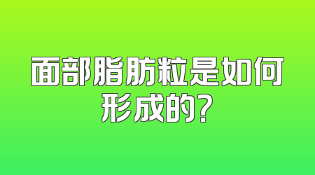 面部脂肪粒是如何形成的？