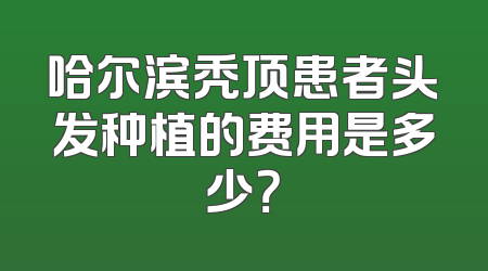哈尔滨秃顶患者头发种植的费用是多少？