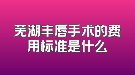 芜湖丰唇手术的费用标准是什么