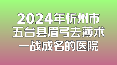 2024年忻州市五台县眉弓去薄术一战成名的医院