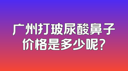 广州打玻尿酸鼻子价格是多少呢？