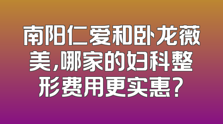 南阳仁爱和卧龙薇美，哪家的妇科整形费用更实惠？