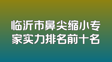 临沂市鼻尖缩小专家实力排名前十名