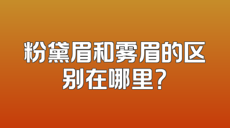 粉黛眉和雾眉的区别在哪里？