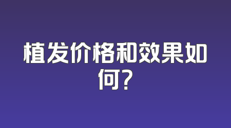 植发价格和效果如何？
