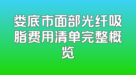 娄底市面部光纤吸脂费用清单完整概览