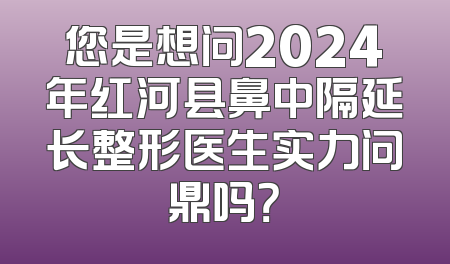 您是想问2024年红河县鼻中隔延长整形医生实力问鼎吗？