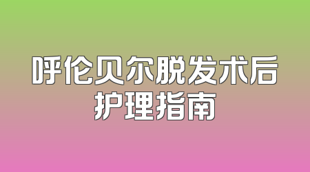 呼伦贝尔脱发术后护理指南