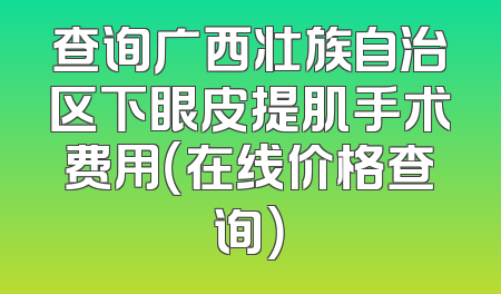 查询广西壮族自治区下眼皮提肌手术费用（在线价格查询）