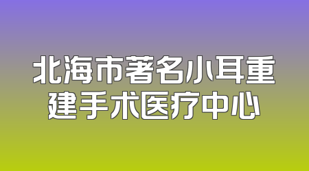 北海市著名小耳重建手术医疗中心