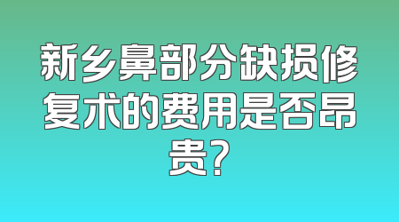 新乡鼻部分缺损修复术的费用是否昂贵？