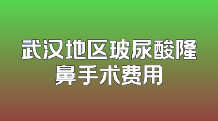武汉地区玻尿酸隆鼻手术费用