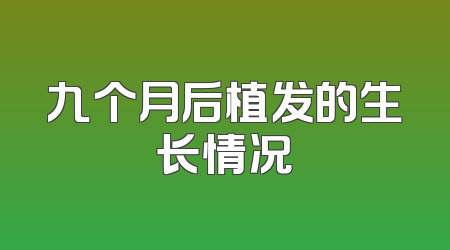 九个月后植发的生长情况
