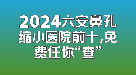 2024六安鼻孔缩小医院前十，免费任你“查”