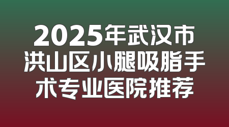 2025年武汉市洪山区小腿吸脂手术专业医院推荐