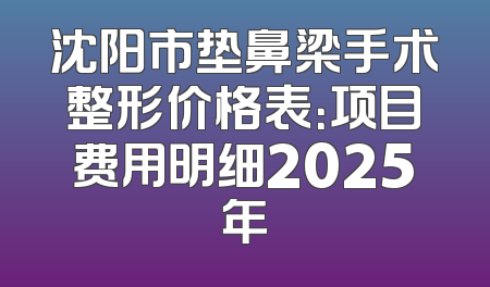 沈阳市垫鼻梁手术整形价格表：项目费用明细2025年