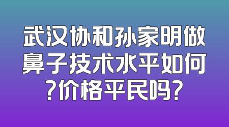 武汉协和孙家明做鼻子技术水平如何？价格平民吗？