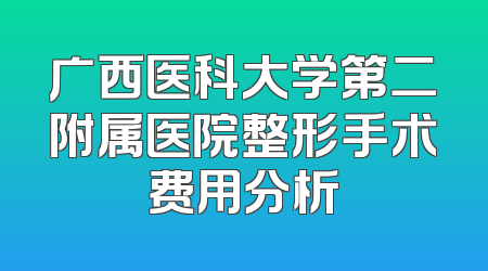 广西医科大学第二附属医院整形手术费用分析
