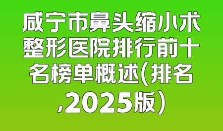 咸宁市鼻头缩小术整形医院排行前十名榜单概述（排名，2025版）
