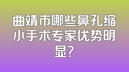 曲靖市哪些鼻孔缩小手术专家优势明显？
