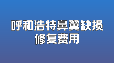 呼和浩特鼻翼缺损修复费用