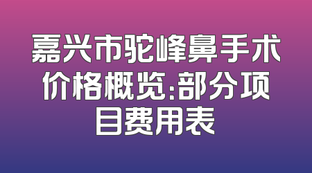 嘉兴市驼峰鼻手术价格概览：部分项目费用表
