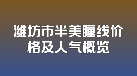 潍坊市半美瞳线价格及人气概览