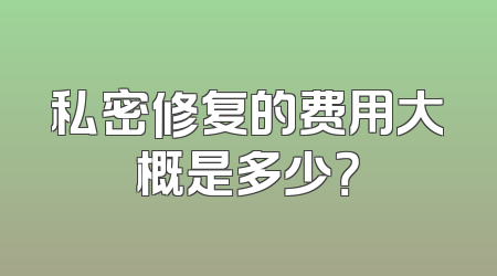 私密修复的费用大概是多少？