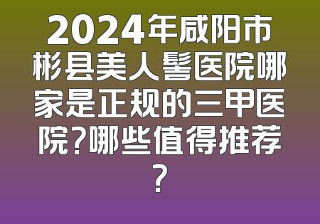 2024年咸阳市彬县美人髻医院哪家是正规的三甲医院？哪些值得推荐？