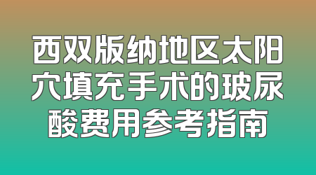 西双版纳地区太阳穴填充手术的玻尿酸费用参考指南