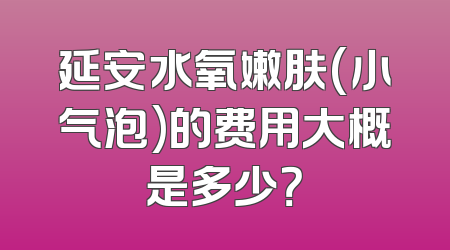 延安水氧嫩肤(小气泡)的费用大概是多少？