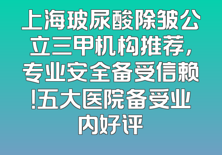 上海玻尿酸除皱公立三甲机构推荐，专业安全备受信赖！五大医院备受业内好评