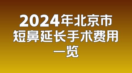 2024年北京市短鼻延长手术费用一览